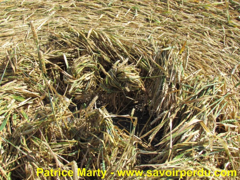 Etchilhampton (2), Wiltshire crop circle, aerial photo 72